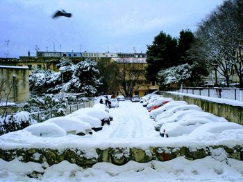 Scenic view of snow covered trees and buildings against sky