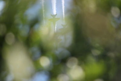 Close-up of street light against blurred background