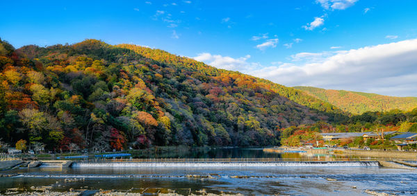 Trees by lake against sky during autumn