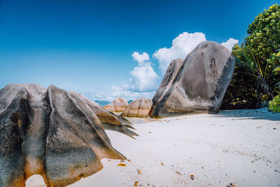 Scenic view of beach against blue sky