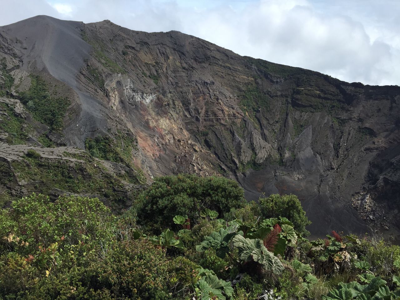 SCENIC VIEW OF TREE MOUNTAIN AGAINST SKY