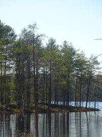 Scenic view of lake against clear sky