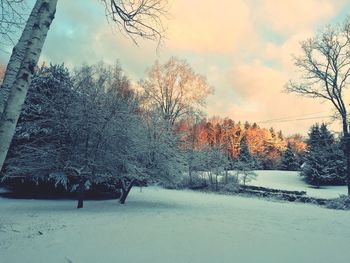 Scenic view of snow covered landscape