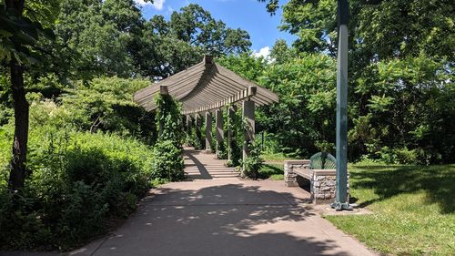 Footpath amidst trees and plants