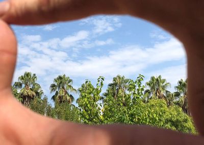 Cropped image of person tree against sky