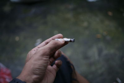 Cropped image of hand holding cigarette