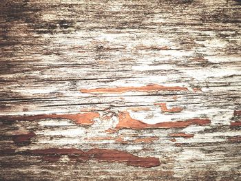 Full frame shot of wood