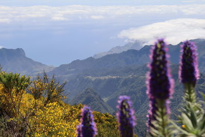 Scenic view of mountains against sky