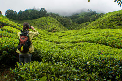 Woman taking picture of lush vegetation