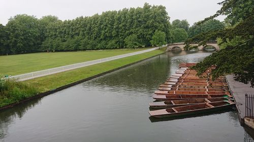 Scenic view of river amidst trees