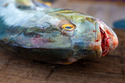 Fish caught on the table to be sliced by the fisherman. buyers waiting.