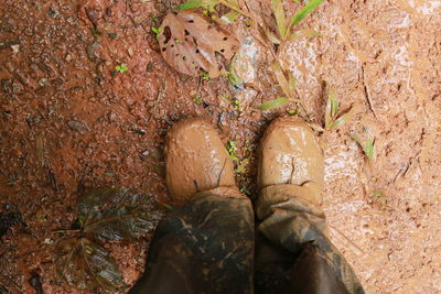 Low section of person standing on mud