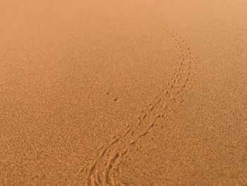 High angle view of footprints on sand at beach