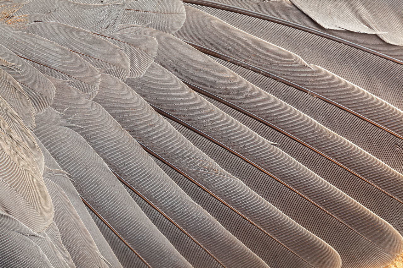 FULL FRAME SHOT OF PATTERNED METAL