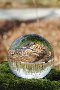 Close-up of glass ball on field