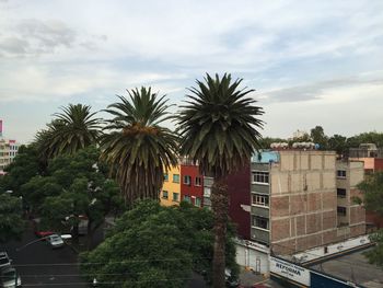 Palm trees against cloudy sky