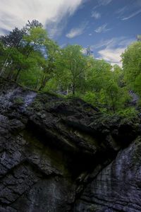 Scenic view of waterfall in forest against sky