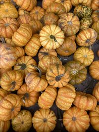 Full frame shot of pumpkins