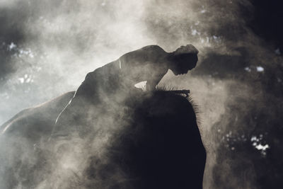 Silhouette man on elephant amidst fog