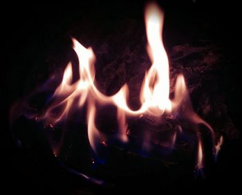 Close-up of bonfire