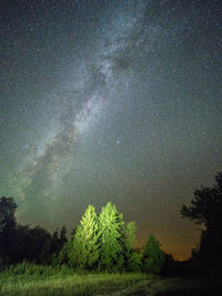 Scenic view of trees against sky at night