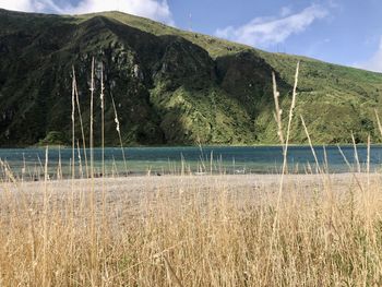 Scenic view of land against sky