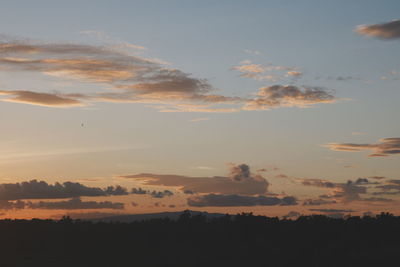 Low angle view of silhouette trees against sky during sunset