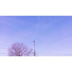 Low angle view of bare trees against blue sky