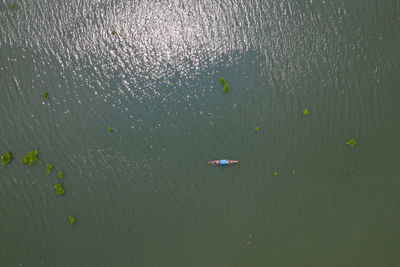 High angle view of swimming in sea
