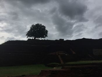 Trees on field against cloudy sky