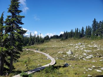 Scenic view of road amidst trees against sky