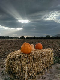 Hay bales on field against sky