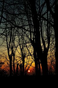 Silhouette bare trees against sky during sunset