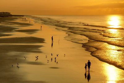 Silhouette of people at beach during sunset