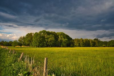 Scenic view of field against sky