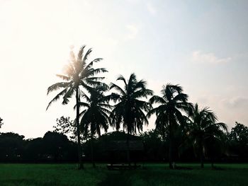 Scenic view of grassy field against sky