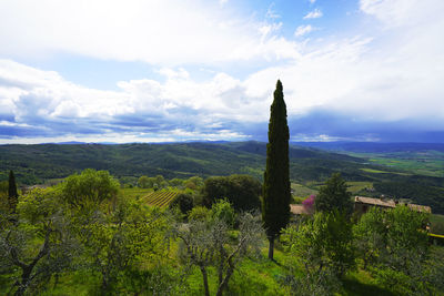 Scenic view of landscape against sky