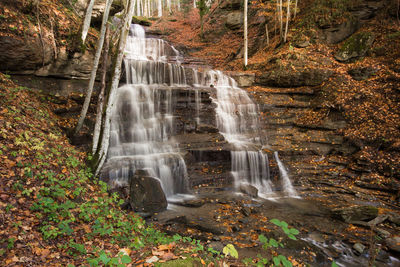 Waterfall in forest