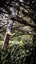 Low angle view of bamboo trees in forest