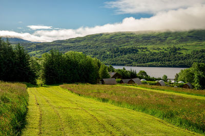 Scenic view of field against sky