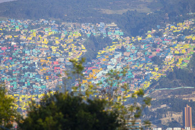 High angle view of flowering trees by mountains