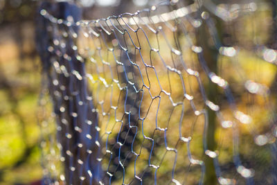 Metal fence background, real fence close-up and texture, daylight and outdoor