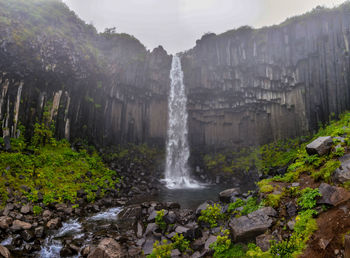 Scenic view of waterfall in forest