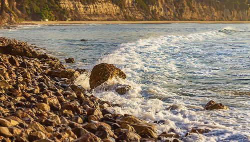 Scenic view of sea shore