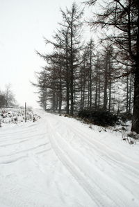 Snow covered trees against sky