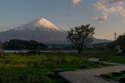 Scenic view of landscape with mountain range in the background