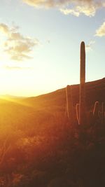 View of landscape against cloudy sky