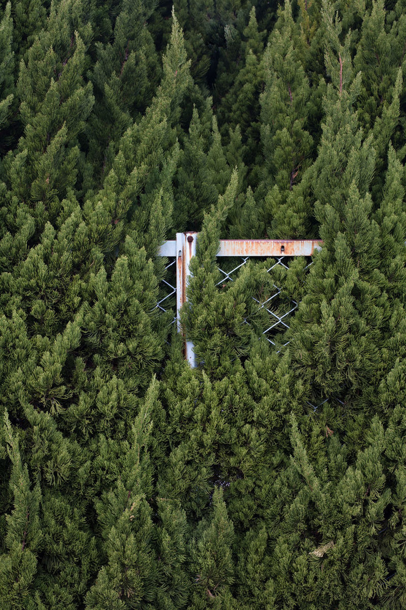 HIGH ANGLE VIEW OF HUT ON TREES IN FOREST