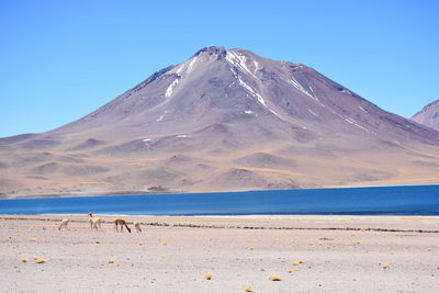 Scenic view of mountains against clear blue sky