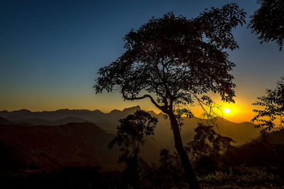 Silhouette tree against sky during sunset